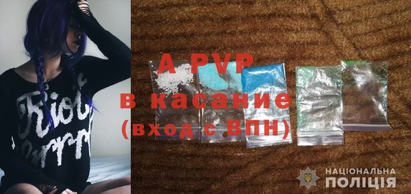 сатива Балахна