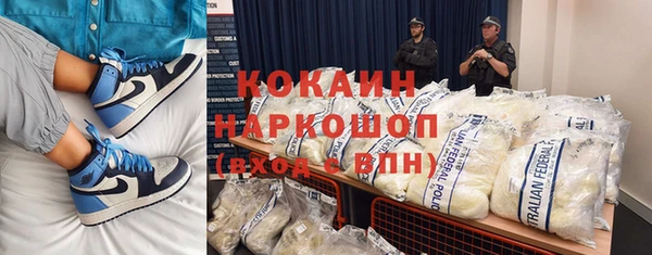 сатива Балахна