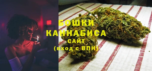 сатива Балахна