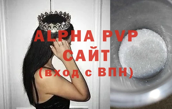 сатива Балахна