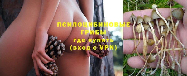 сатива Балахна