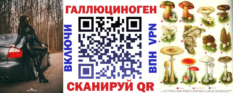 Псилоцибиновые грибы Psilocybine cubensis  магазин    Гвардейск 
